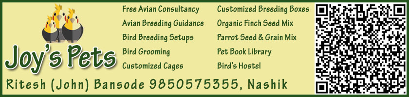 ritesh banner